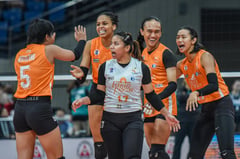 Farm Fresh tapped as PLDT replacement